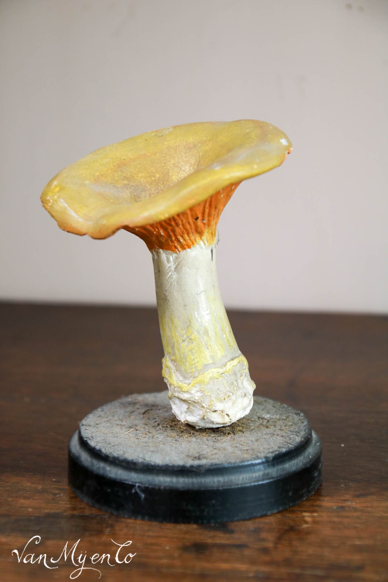 Botanical mushroom