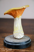 Load image into Gallery viewer, Botanical mushroom
